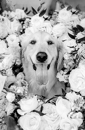 wedding-466