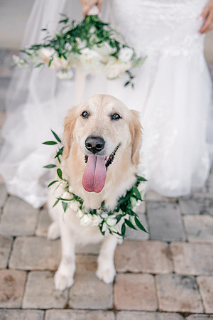 wedding-496