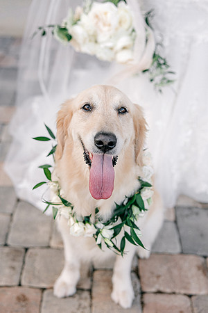wedding-498