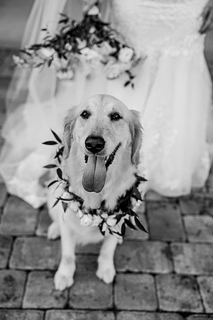 wedding-497