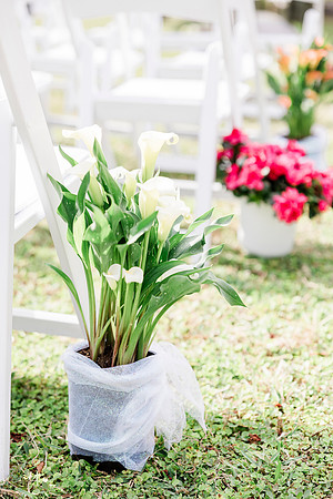 wedding-575