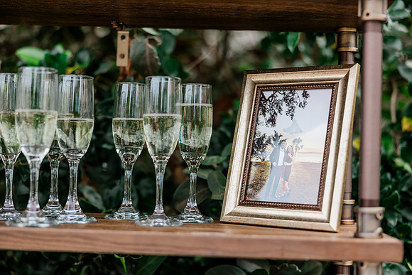 wedding (490 of 1462)