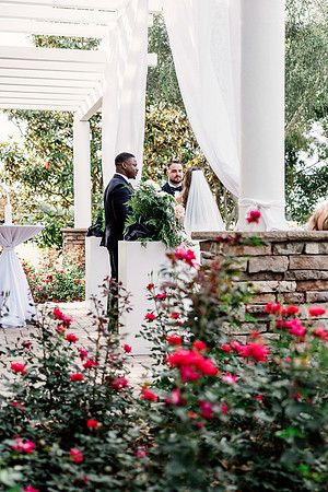 wedding-506