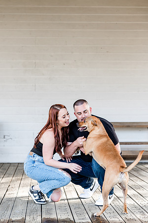 engagement-23