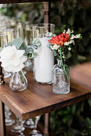 wedding (491 of 1462)