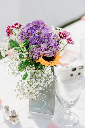 wedding-591