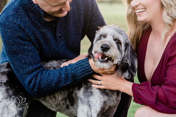 dogs in engagement sessions, Ocala Engagement photographer