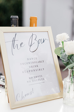 wedding (482 of 1462)