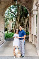 engagement preview-8