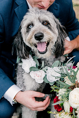 wedding-99