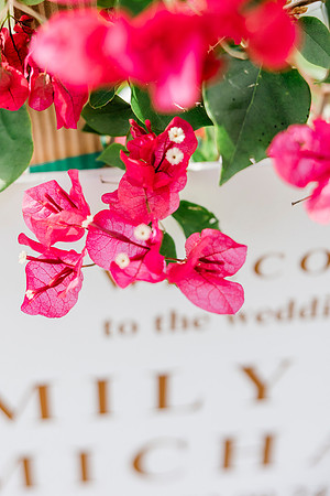 wedding-582