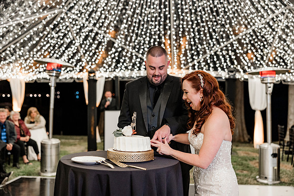 wedding (1182 of 1462)