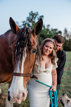 Engagement-140