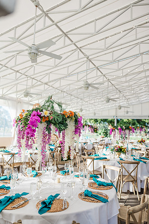 wedding-895