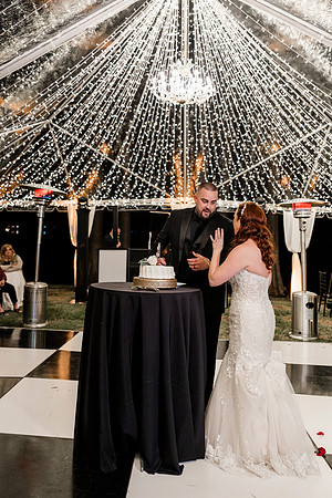 wedding (1183 of 1462)