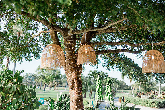 wedding-904