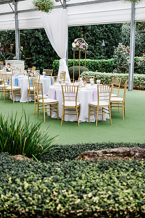 wedding-753
