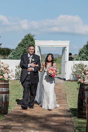 wedding-587