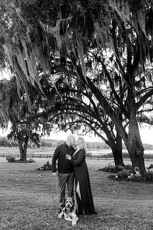 engagement-8