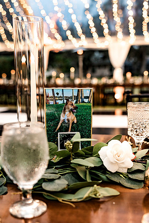 wedding (948 of 1462)