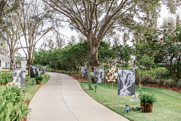 wedding (279 of 1462)