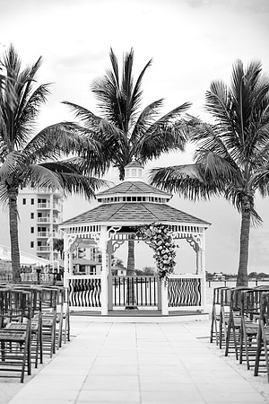 wedding-331