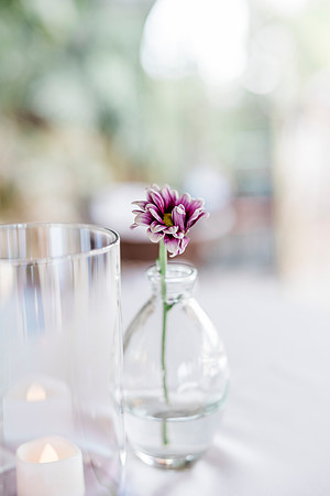 wedding-603