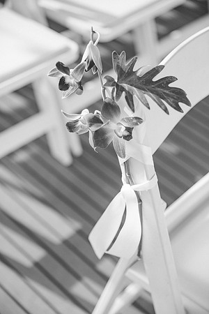wedding-590