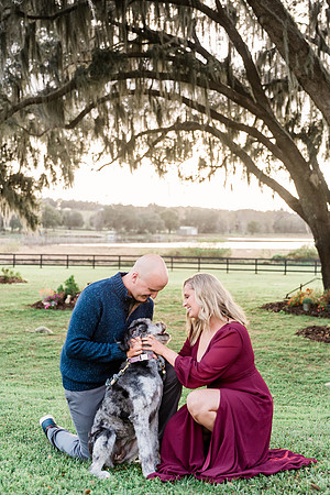 engagement-12