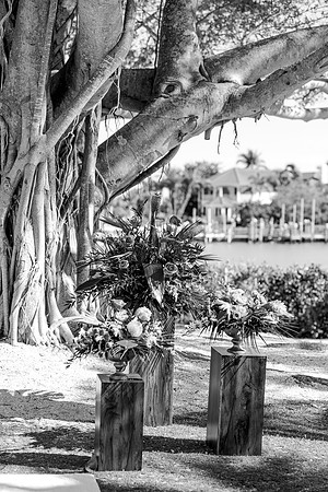 wedding-467