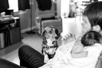 Babynora-159