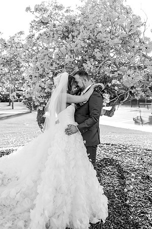 wedding-818
