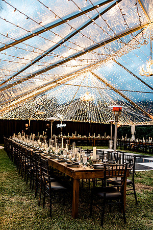 wedding (933 of 1462)