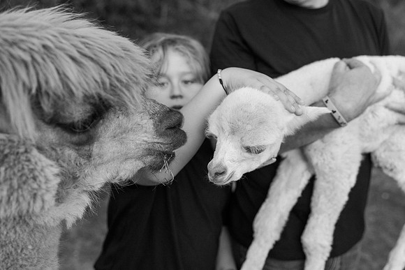 farmsession-109