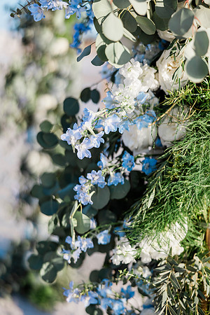 wedding-357