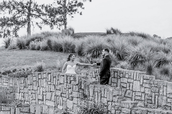 wedding-1063