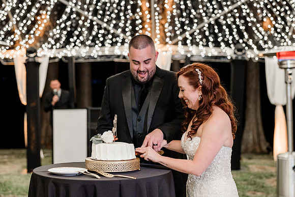 wedding (1179 of 1462)