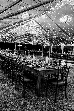 wedding (935 of 1462)