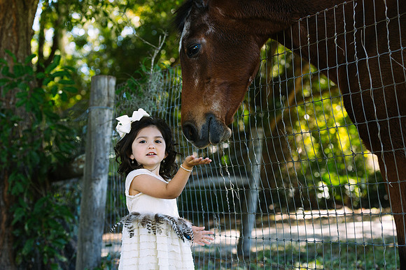 Dogs in weddings, Ocala wedding photographer