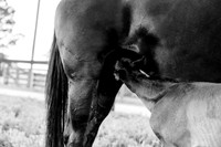 babyskippy-10