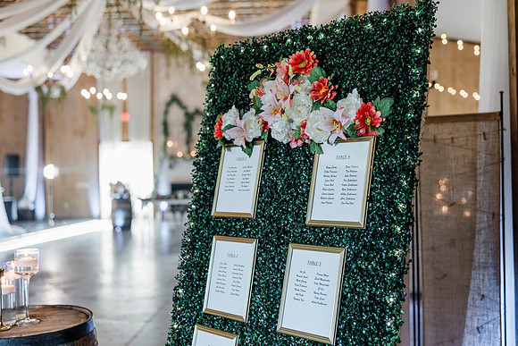 wedding-872
