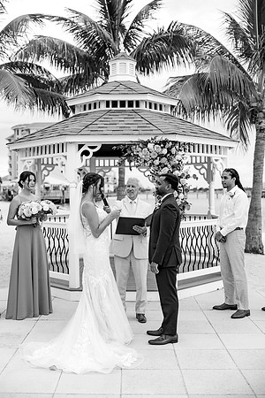 wedding-462