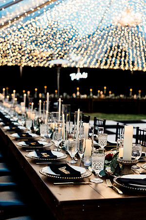 wedding (930 of 1462)