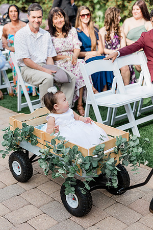 wedding-455
