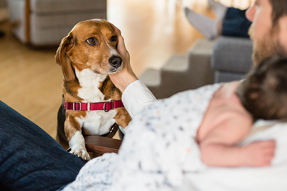 Dogs in weddings, Ocala wedding photographer