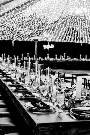 wedding (931 of 1462)