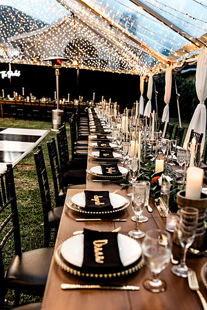 wedding (927 of 1462)