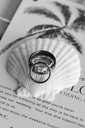 wedding-502