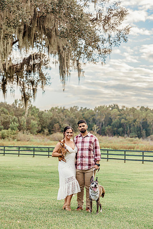 engagement-3