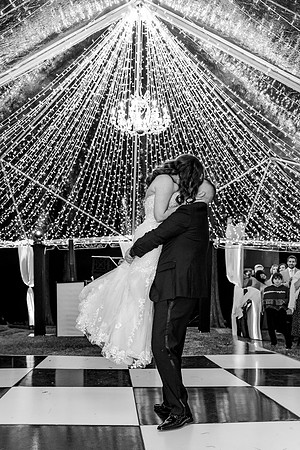 wedding (1029 of 1462)